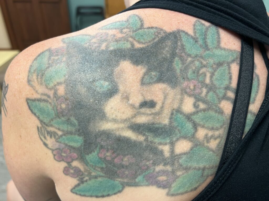 Large Cat tattoo for eventual tattoo cover up
